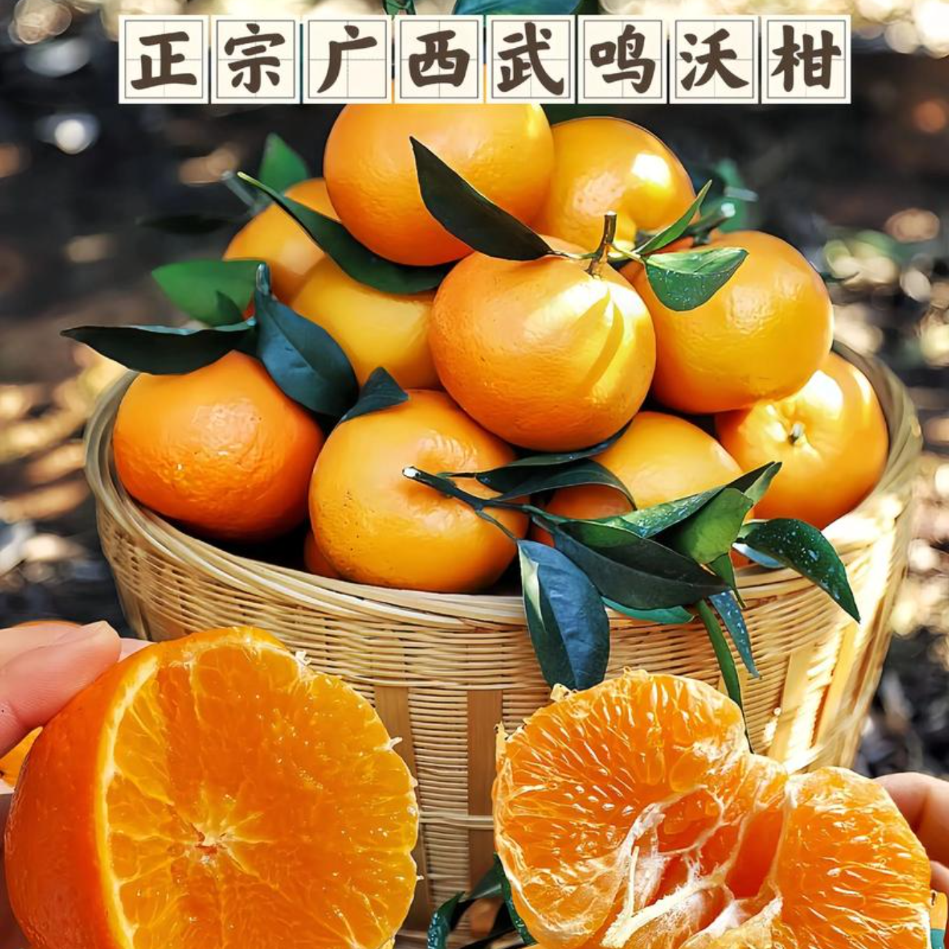 【十斤装特大沃柑】正宗武鸣沃柑产地果园直发爆甜多汁应季柑橘水果