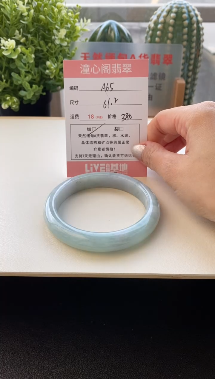 颈饰未镶嵌翡翠圈口61.2编码a65