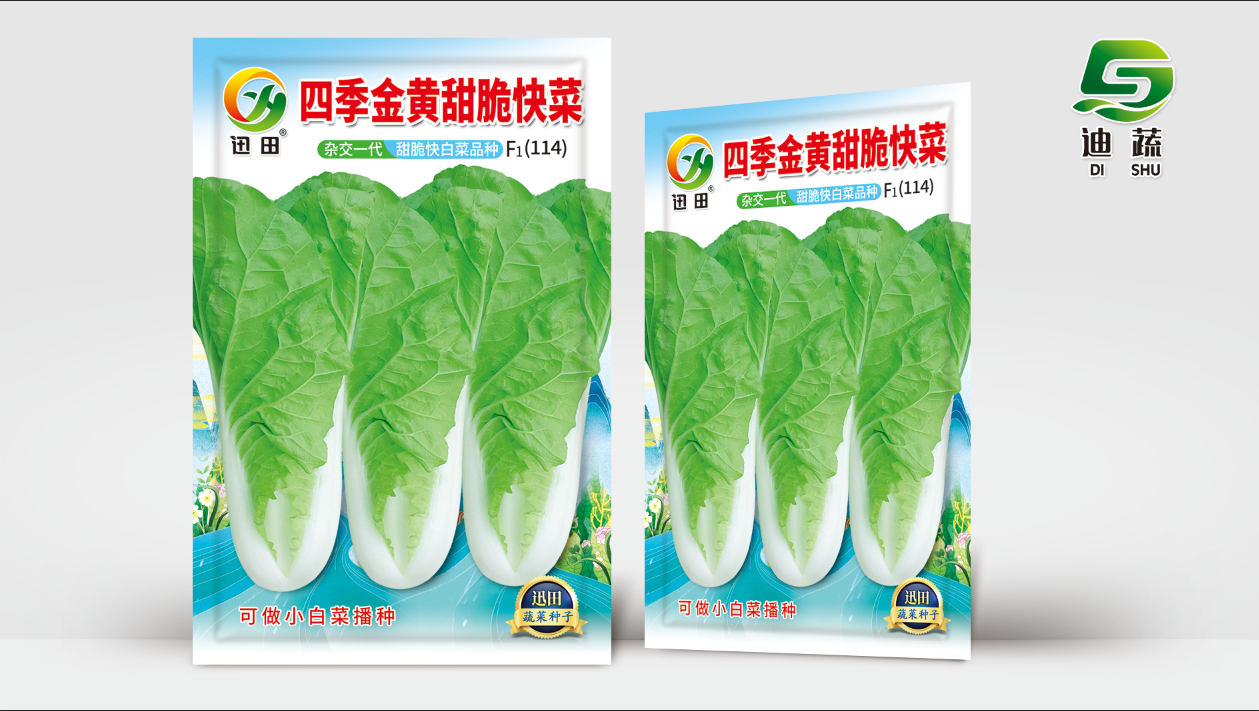 四季金黄甜脆快菜四季甜脆快菜适合大面积种植鲜嫩高产耐热耐寒