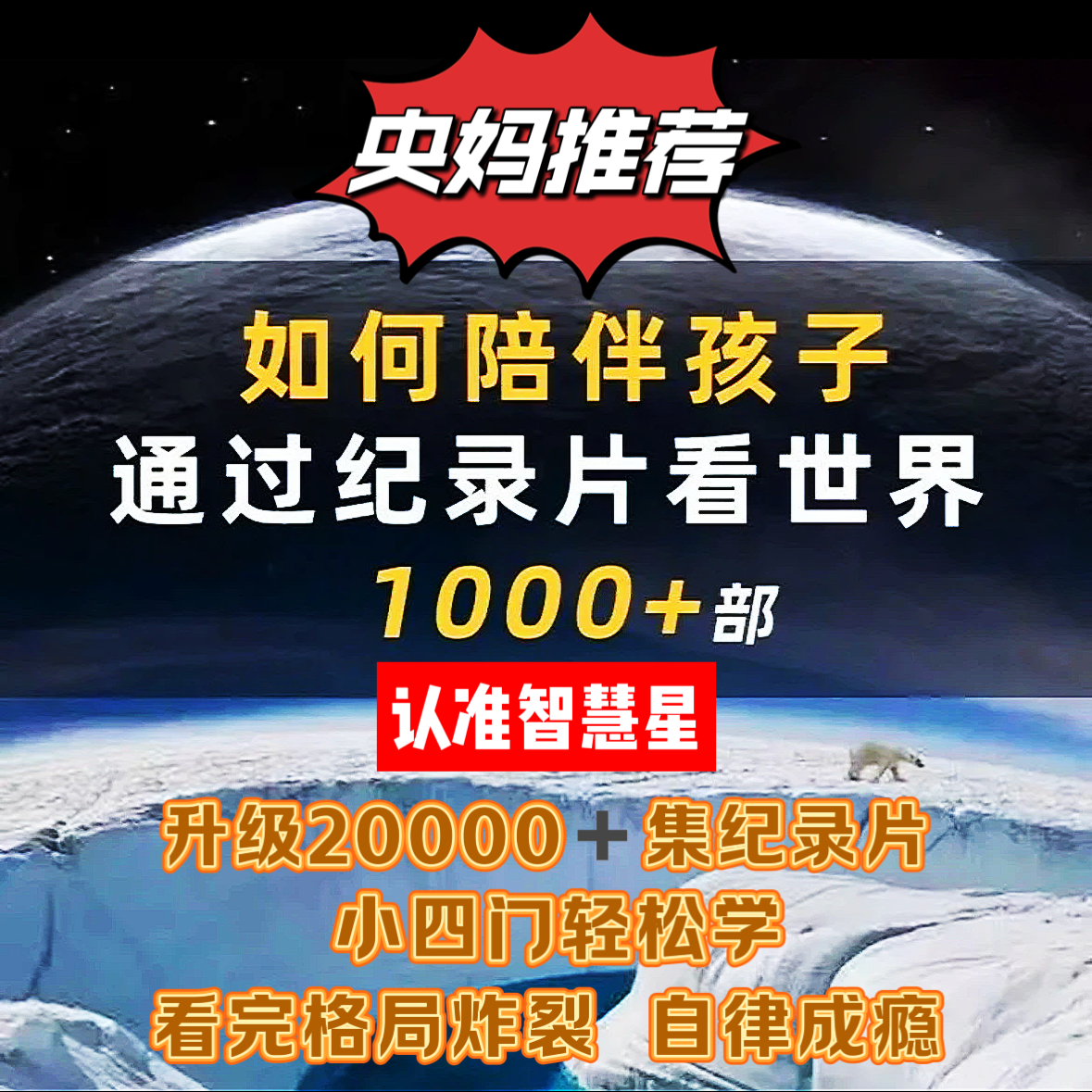 【正版福利】高分小初高小四门纪录片早教逻辑训练思维教具