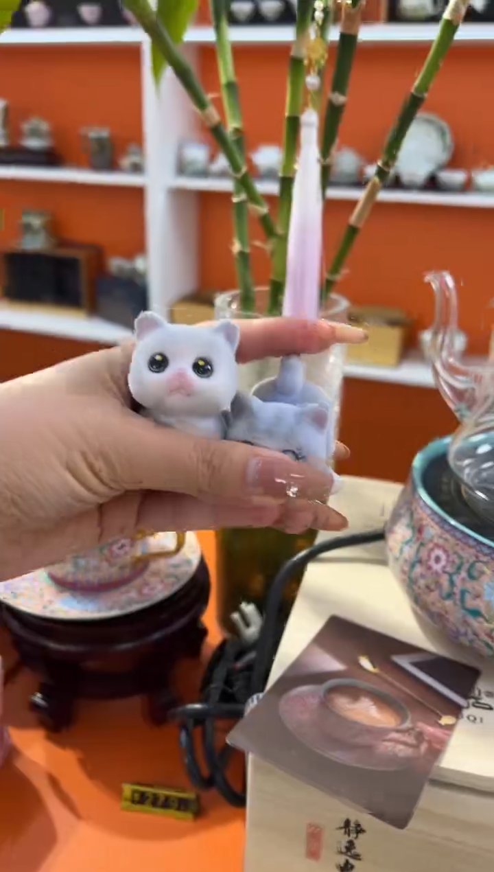 瓷片小乔闪购链接