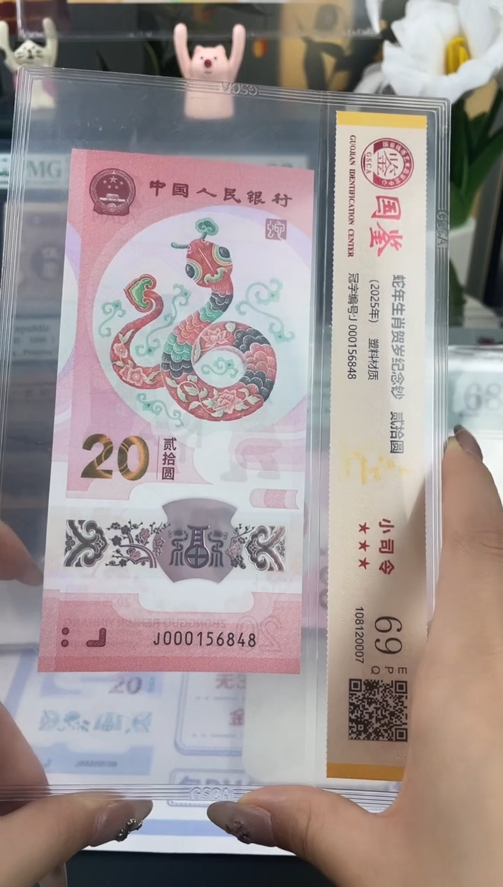 塑料蛇钞小司令69分不挑号尾8   