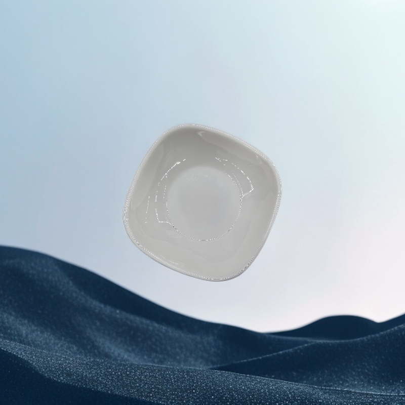 4寸四方密胺碟（10个）