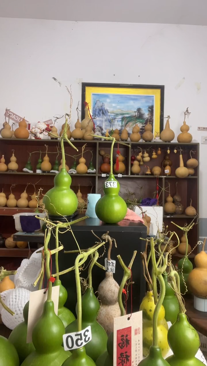 天然葫芦摆件 一物一拍龙头不保售后
