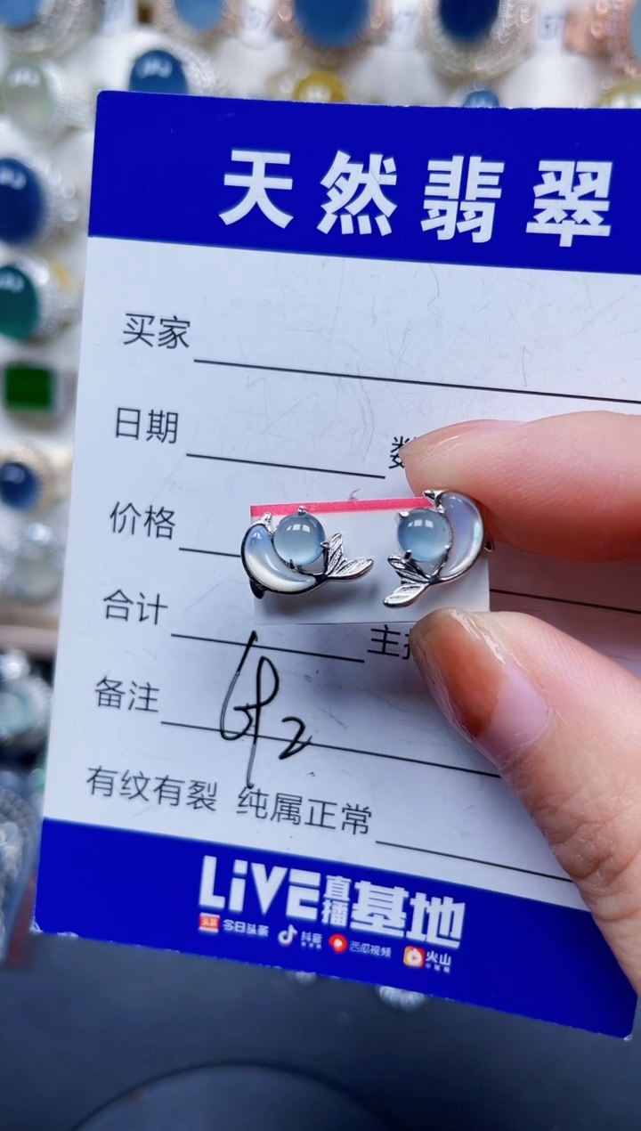 银S925镶嵌翡翠耳饰692