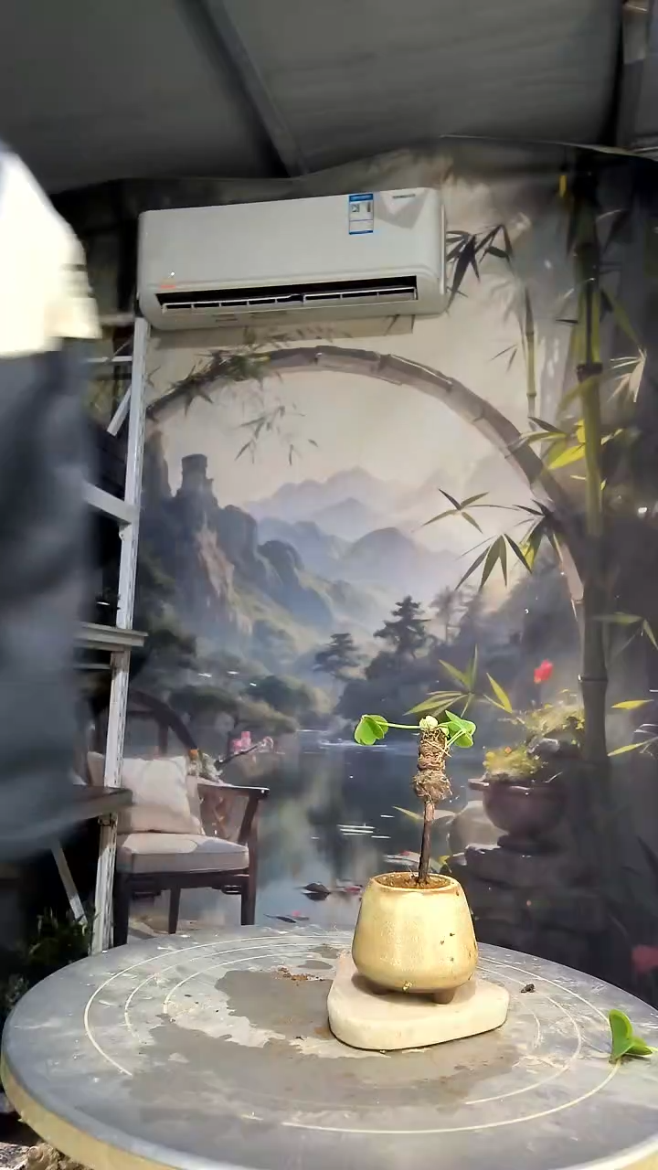 香*儿中青园艺一物一拍花132