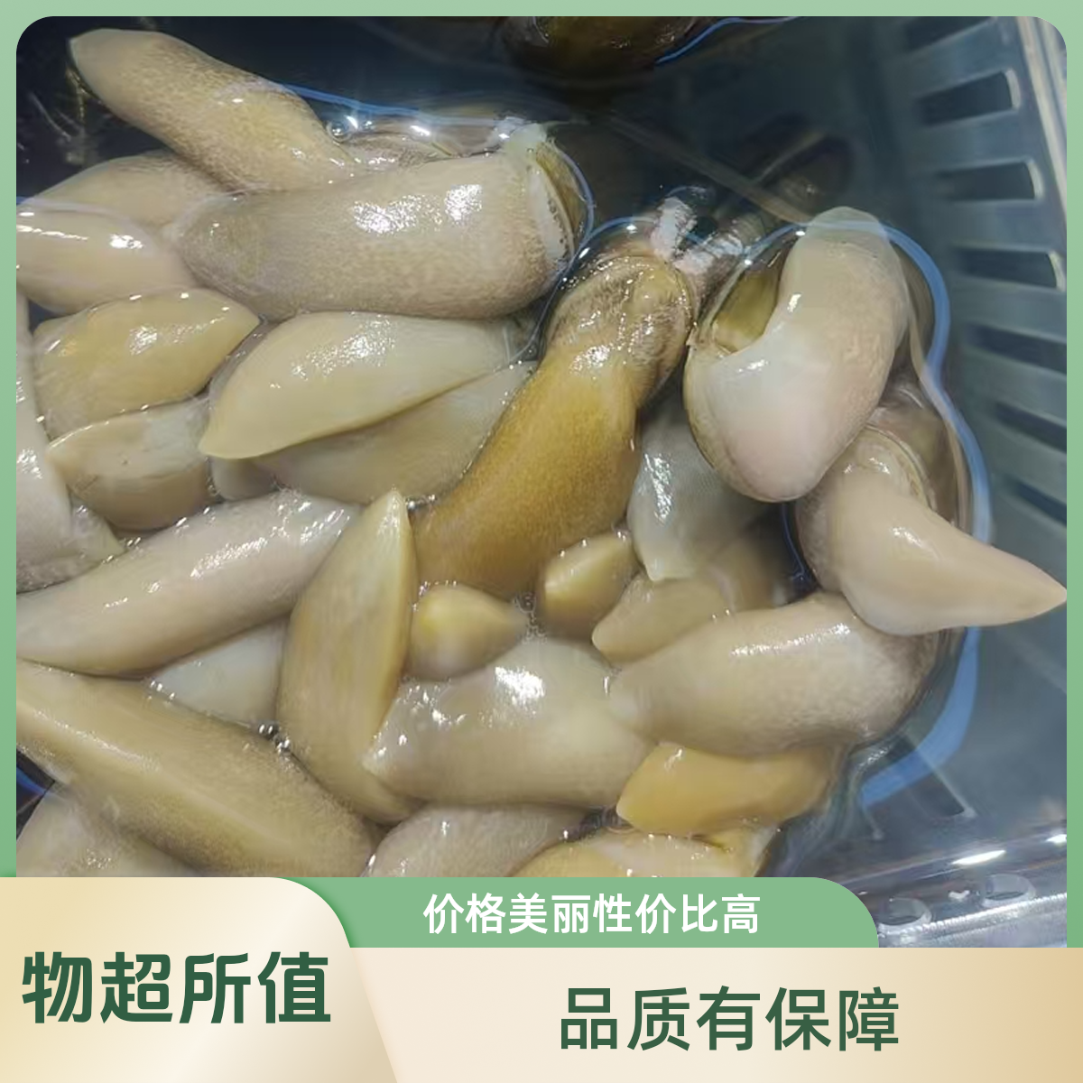 鲜活蛏子500g