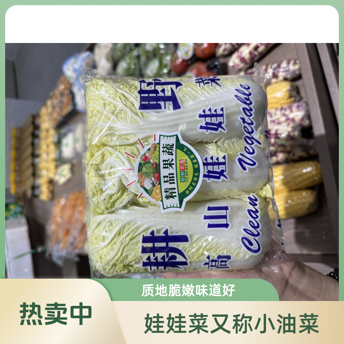 精品娃娃菜/包 G娃娃菜【好东西】