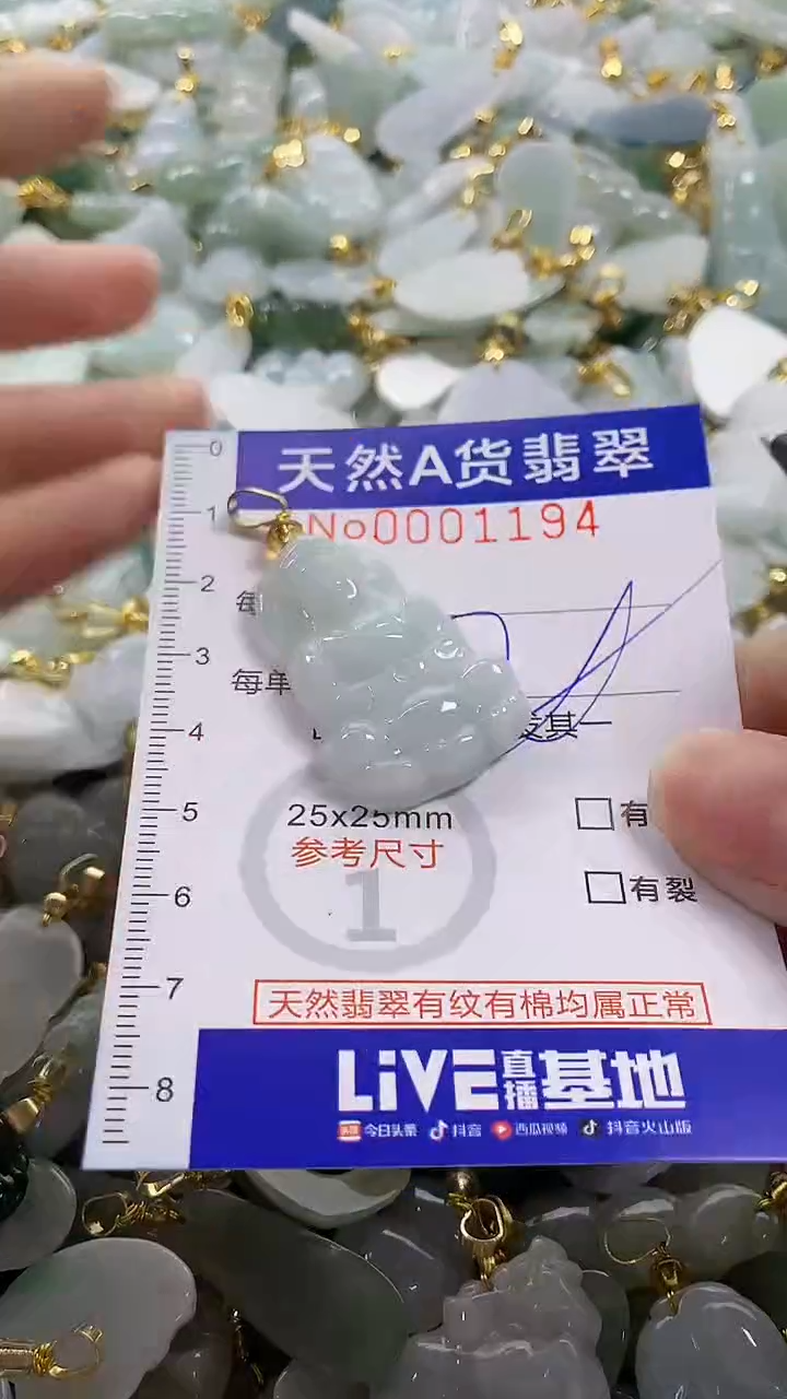 颈饰未镶嵌翡翠纯天然a货翡翠