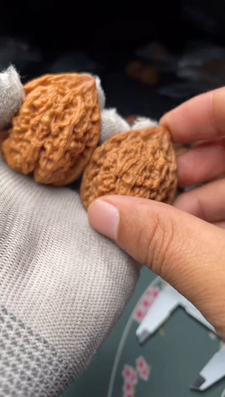 核桃a116   蚂蚁王 38尺