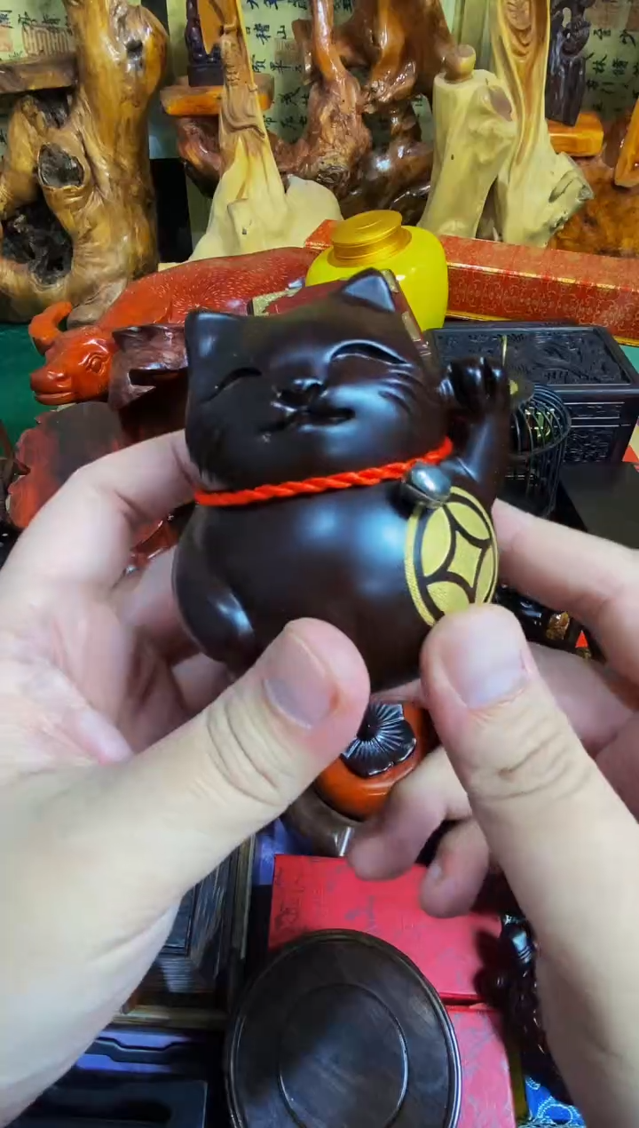 香榧木猫直播推荐直播推荐