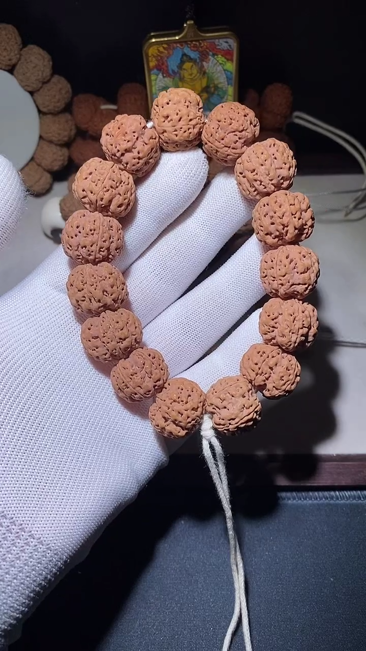 【闪购商品】金刚菩提手串平头粗筋梅花双龙20