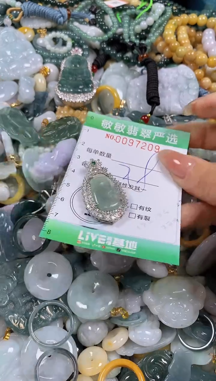 【闪购商品】翡翠颈饰未镶嵌闪购0097209