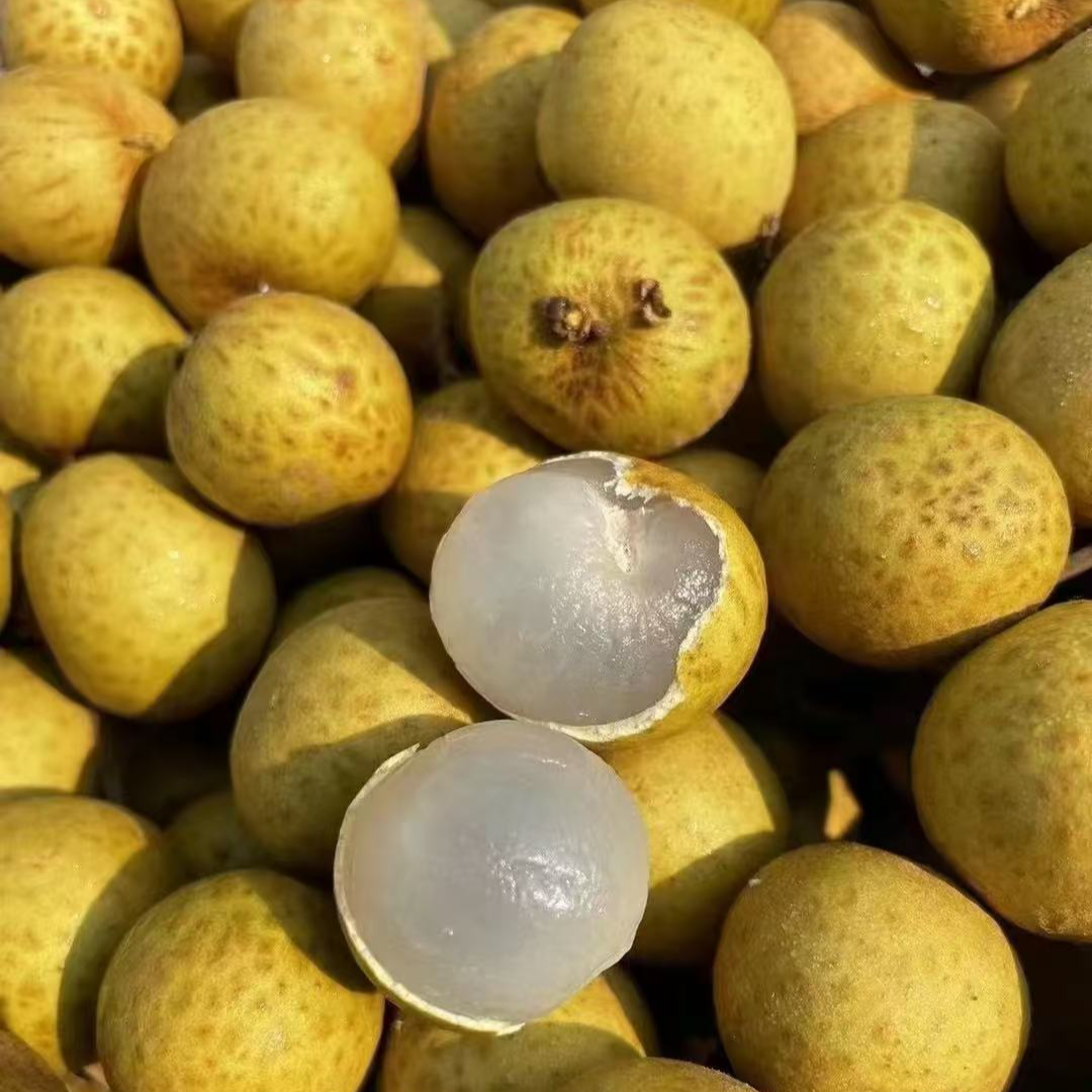 【龙眼】泰国龙眼 纯甜爆汁 核小肉大  2斤装