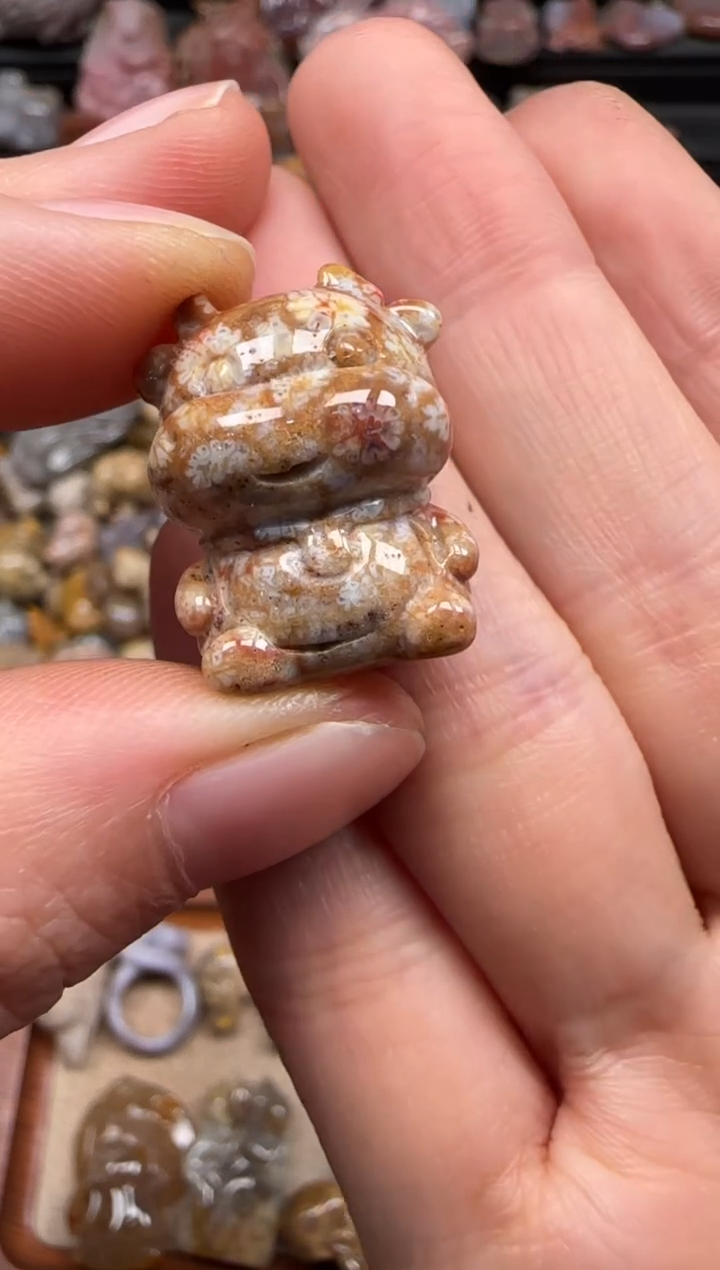 【闪购商品】硅化珊瑚（珊瑚玉）颈饰未镶嵌006