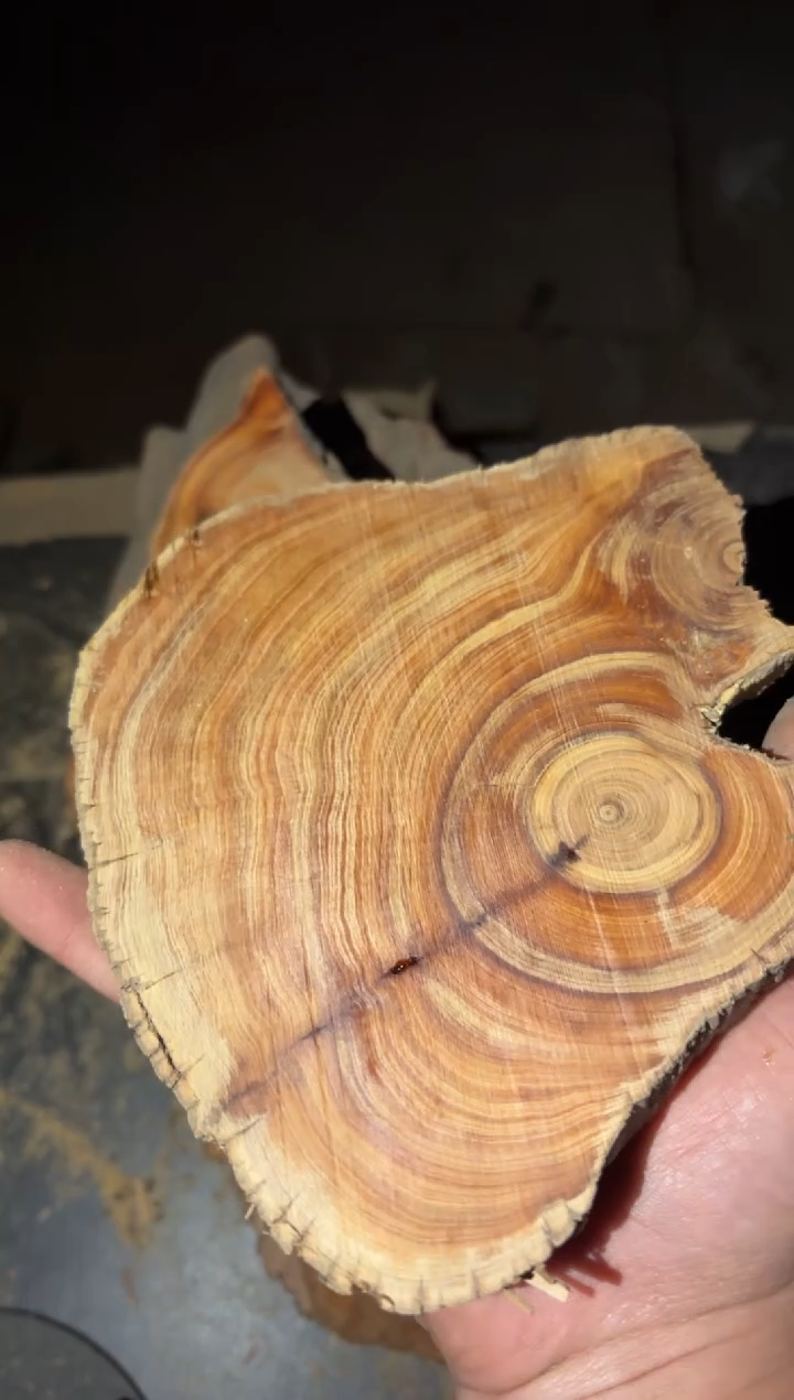 【闪购商品】柏木（崖柏）南太行崖柏毛料9