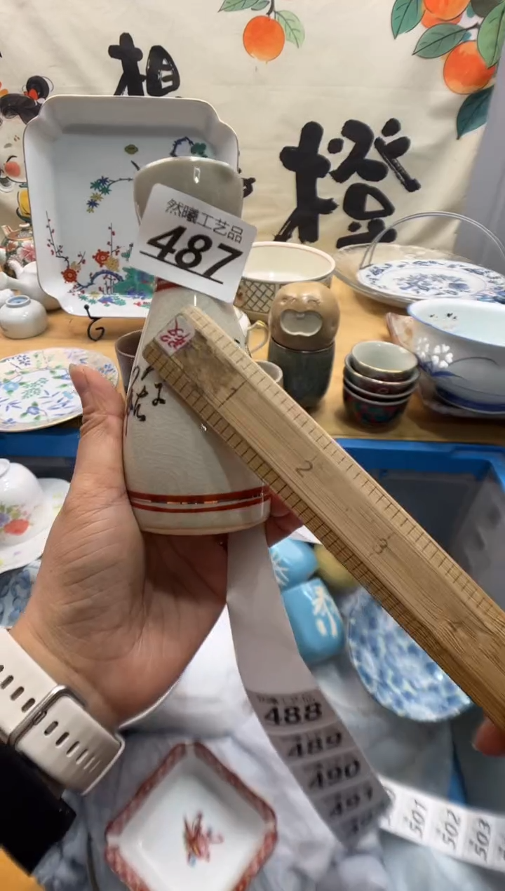 瓷片蒙*487        