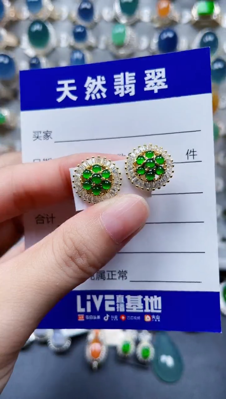 银S925镶嵌翡翠耳饰200