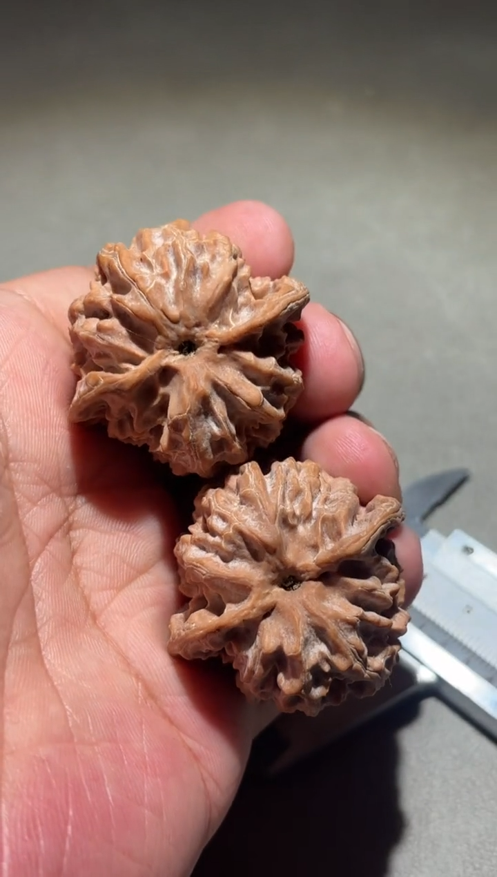 吊坠桃核你**上苹果园