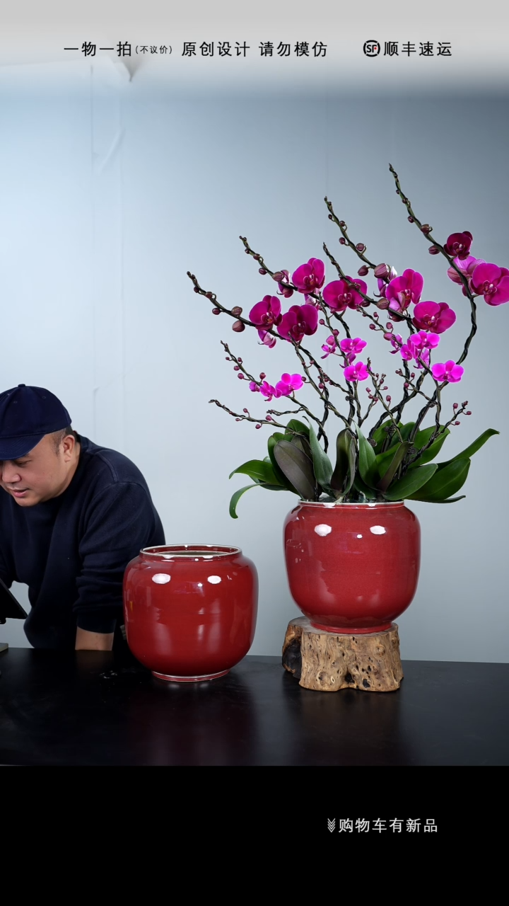 【闪购商品】【一物一拍】艺术盆景