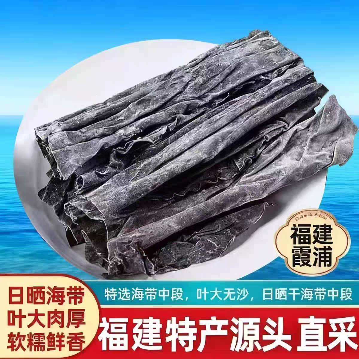 霞浦海带精品艾爽客海带中段干货特厚无沙新鲜去头去尾鲜嫩不添加
