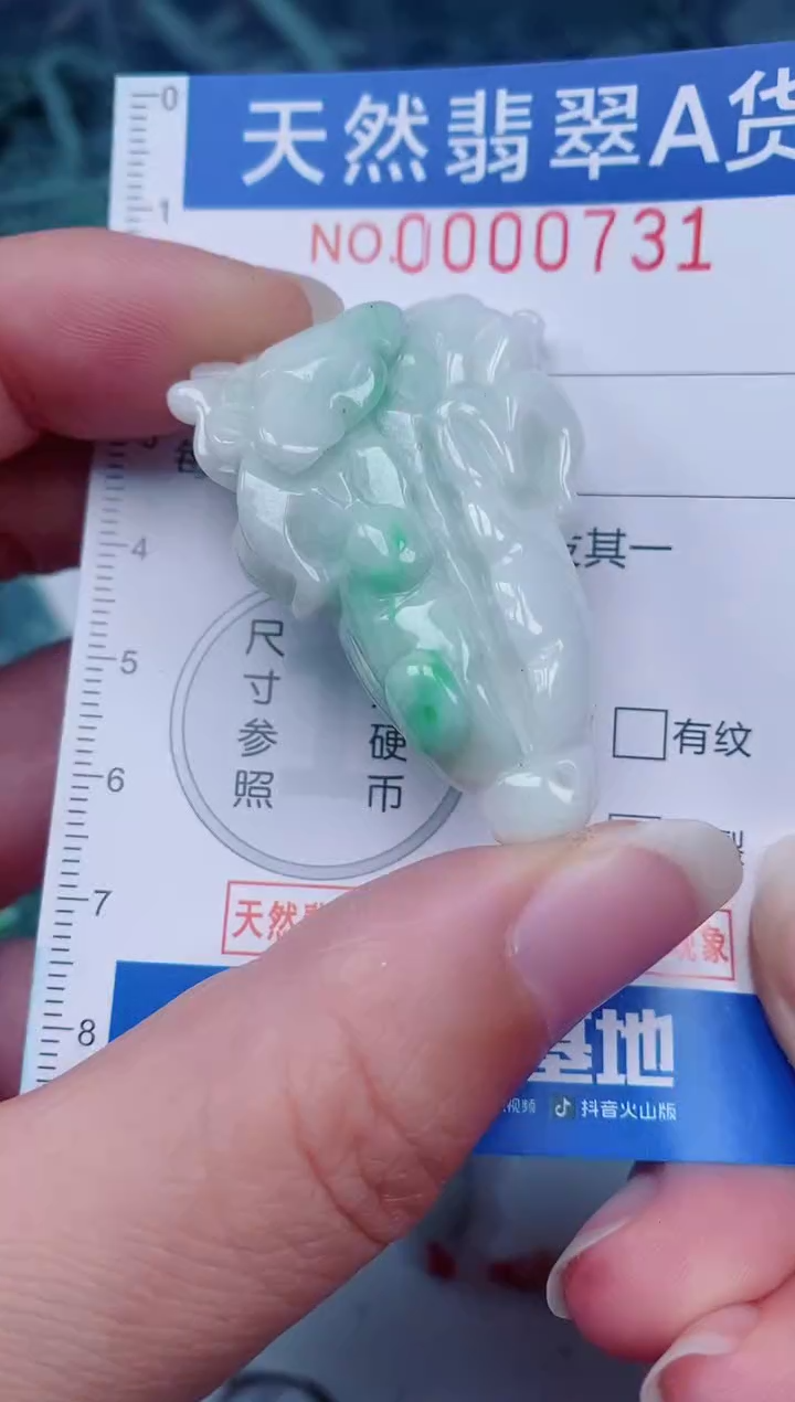 颈饰未镶嵌翡翠00000731