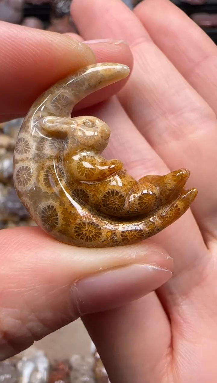 【闪购商品】硅化珊瑚（珊瑚玉）颈饰未镶嵌588