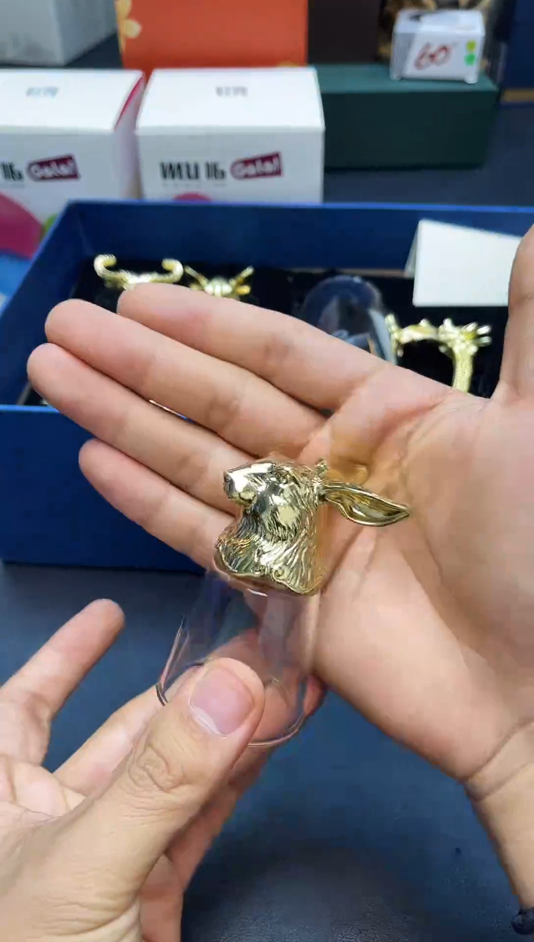 瓷片我又回来了全部漏@@D11