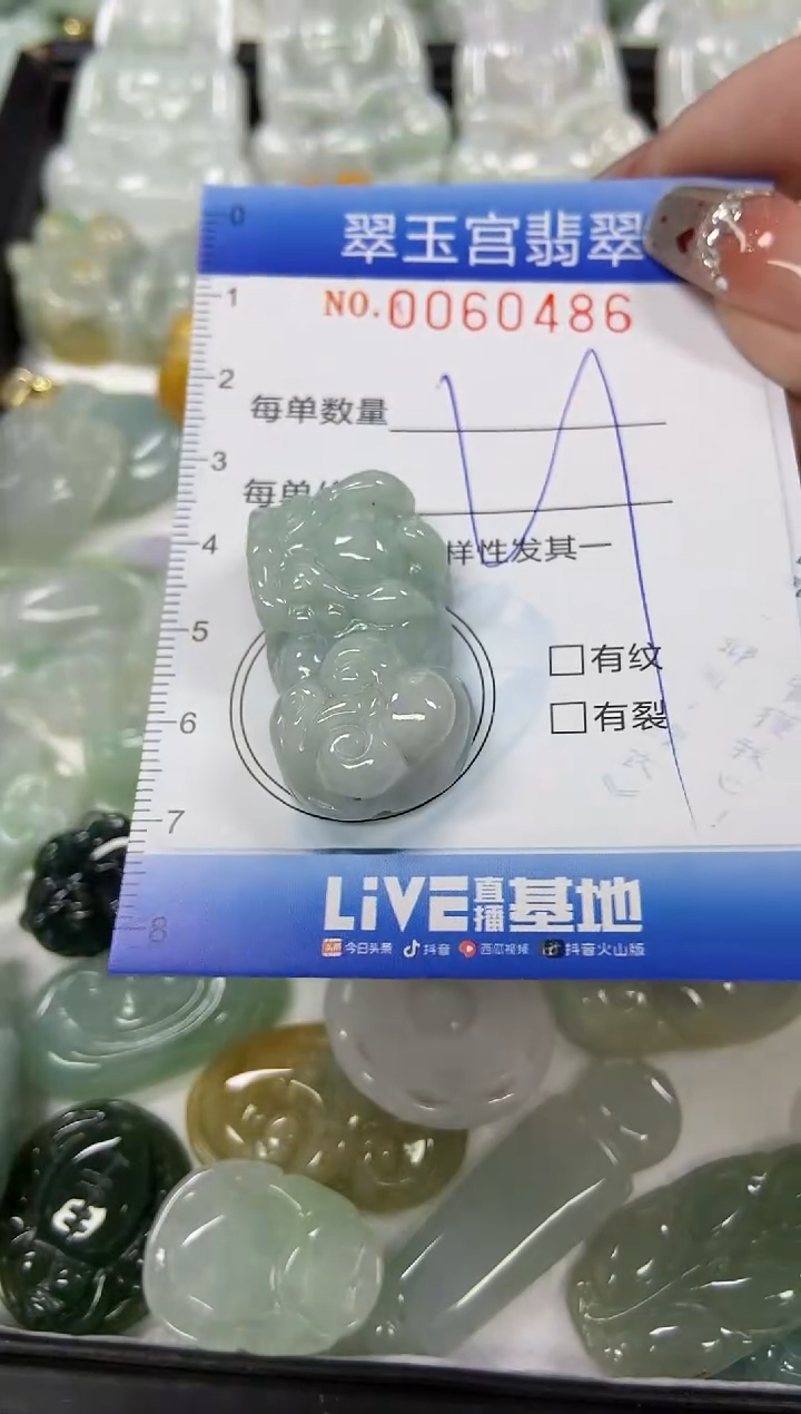 【闪购商品】翡翠颈饰未镶嵌闪购商品0060486