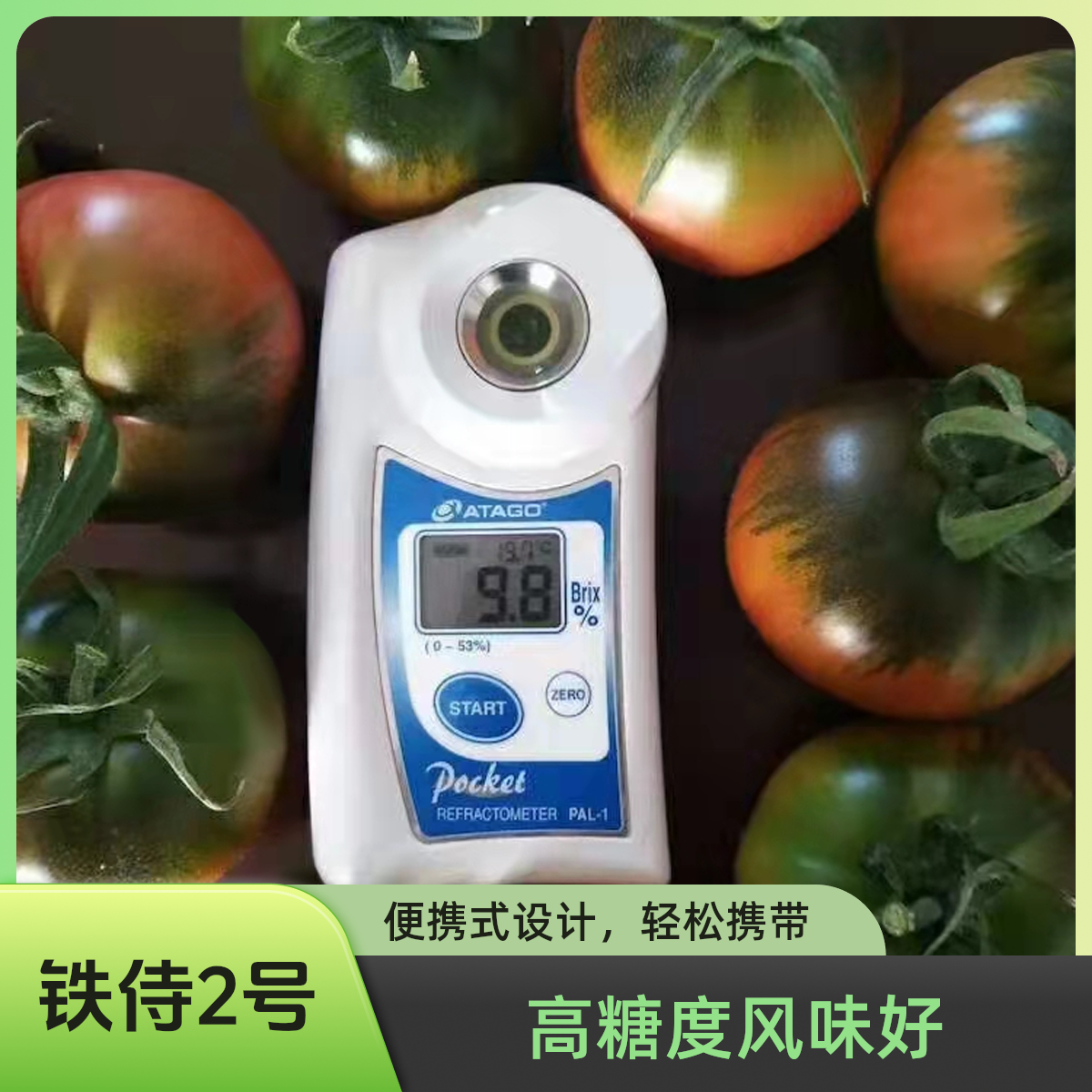 铁侍2号高糖度草莓番茄种子水果西红柿碱地柿子铁皮柿子种子50粒