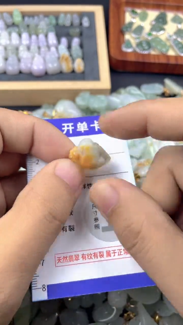 颈饰未镶嵌翡翠天然A货翡翠