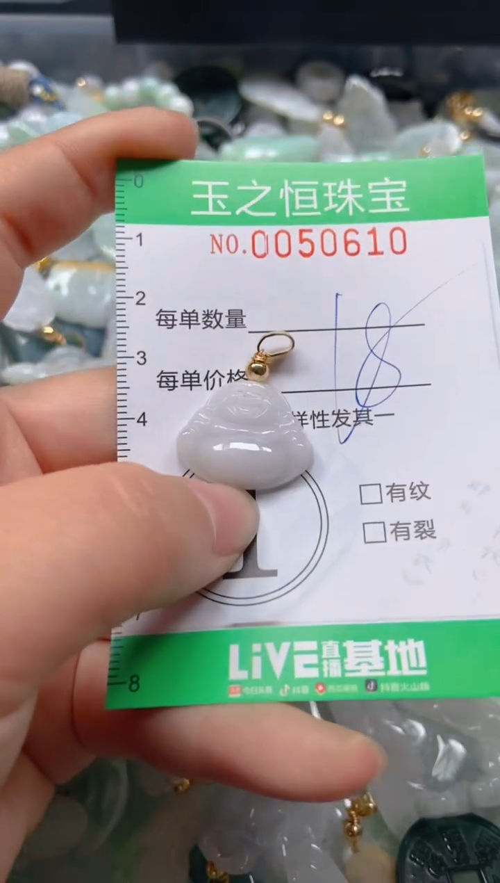 【闪购商品】翡翠颈饰未镶嵌闪购0050610