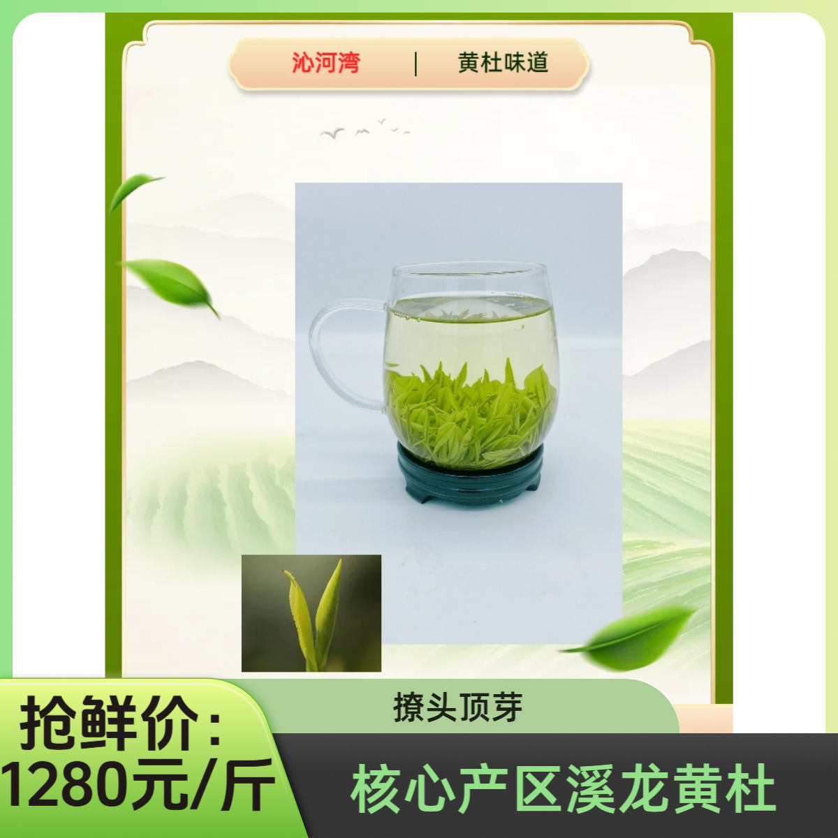 沁河湾【黄杜味道】2025年新茶撩头顶芽头采安吉白茶茶场直发