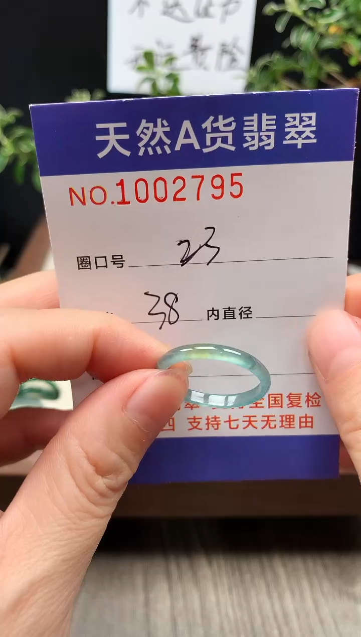 未镶嵌戒指翡翠23#