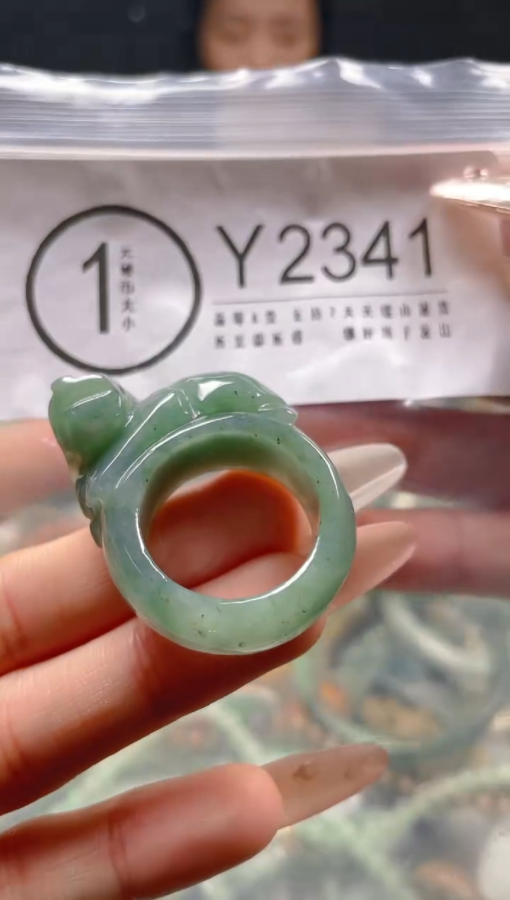 【闪购商品】翡翠颈饰未镶嵌20.8/Y/翡翠A货一图一物