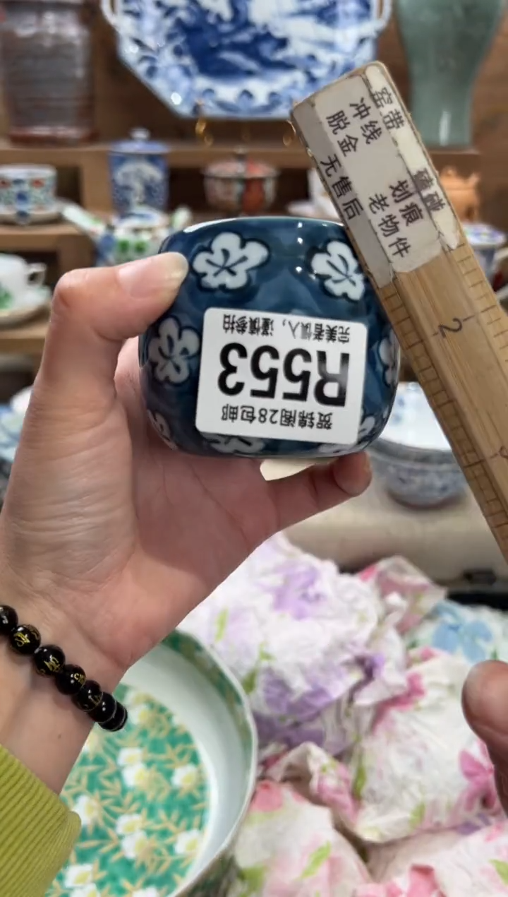 瓷片鲸*?       R553