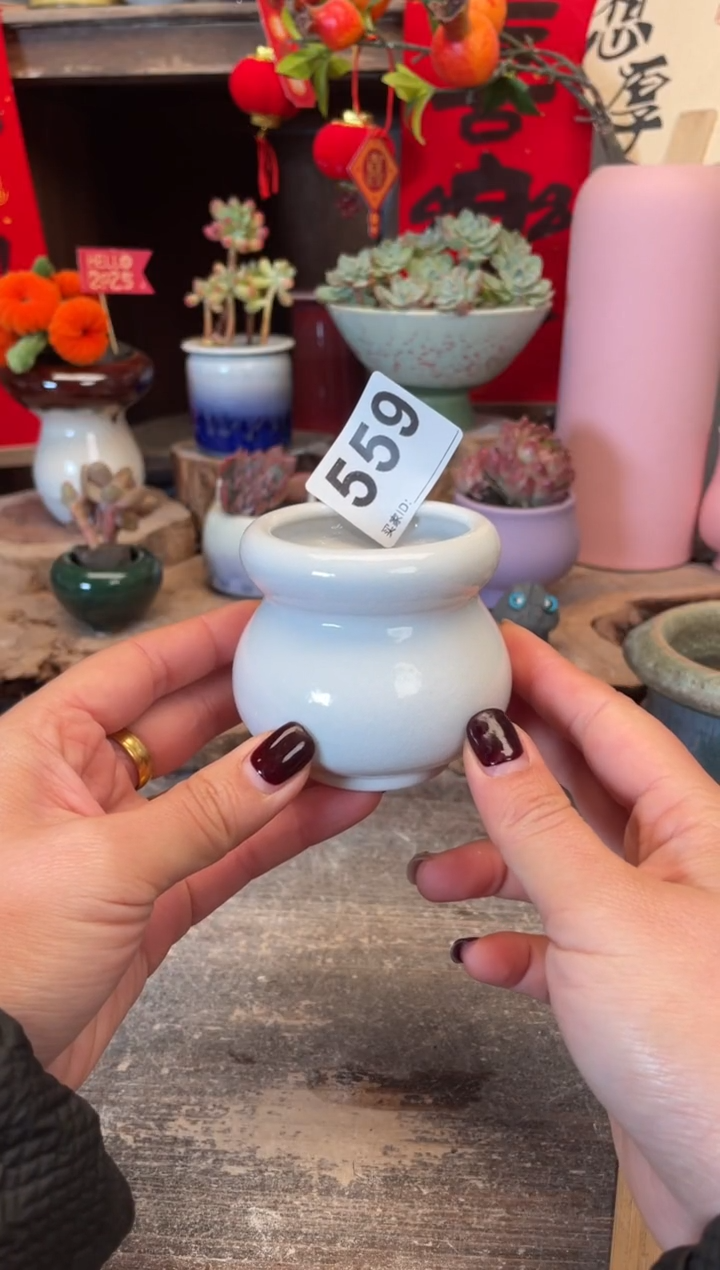 【闪购商品】摆件559知木小芳花盆