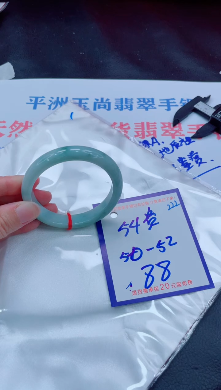 未镶嵌手镯翡翠11111111