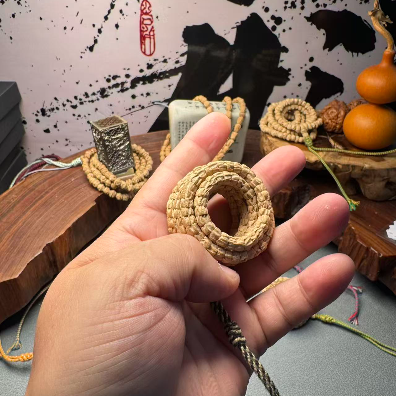 柏香籽    多楞大肠