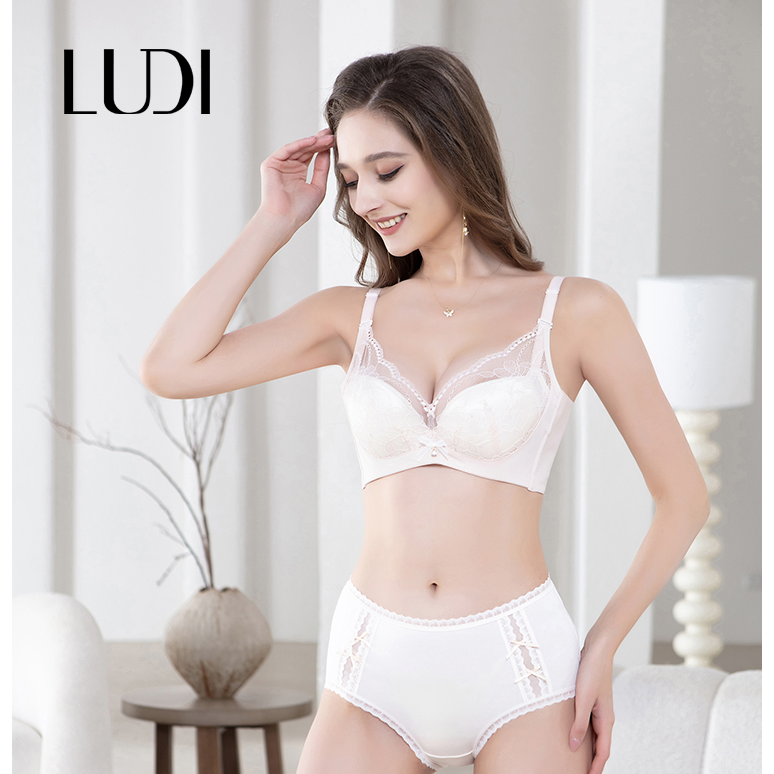 露迪尚品LDA250039聚拢收副乳透气刺绣文胸大胸显小调整型