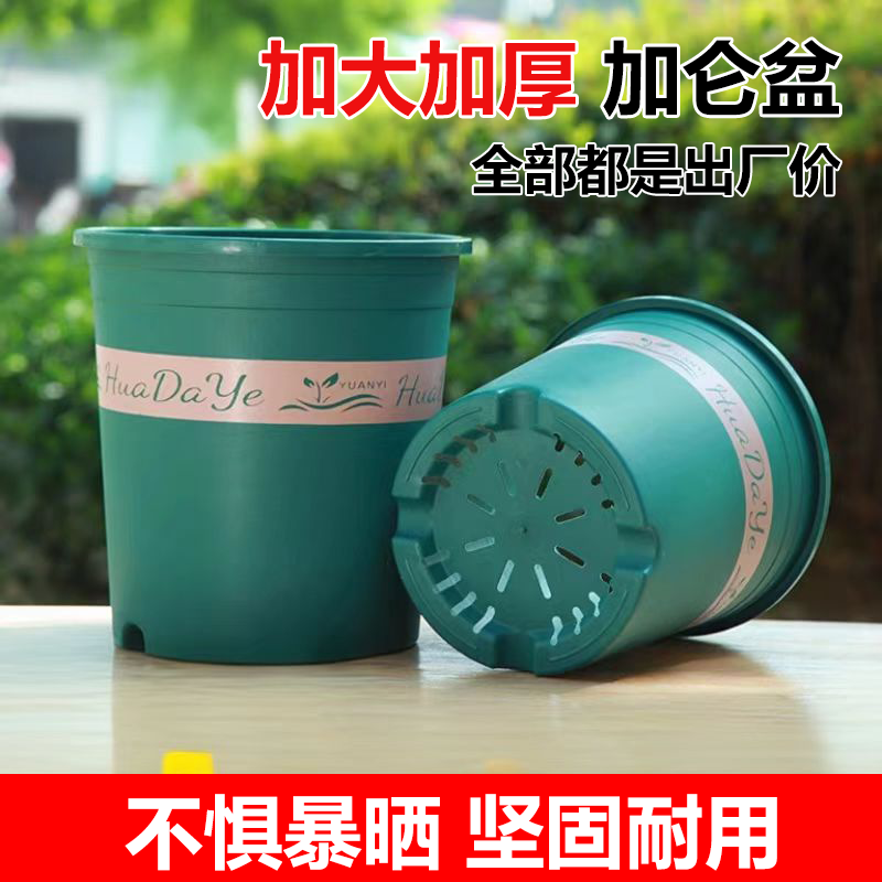 百合花盆家庭园艺加仑盆加高加厚临时盆
