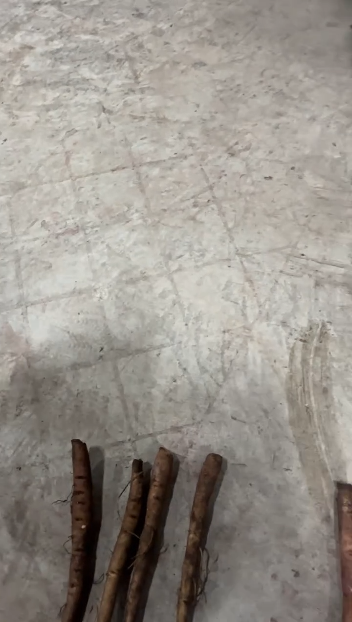 小****！小镇做题家  89典雅香槟 89 