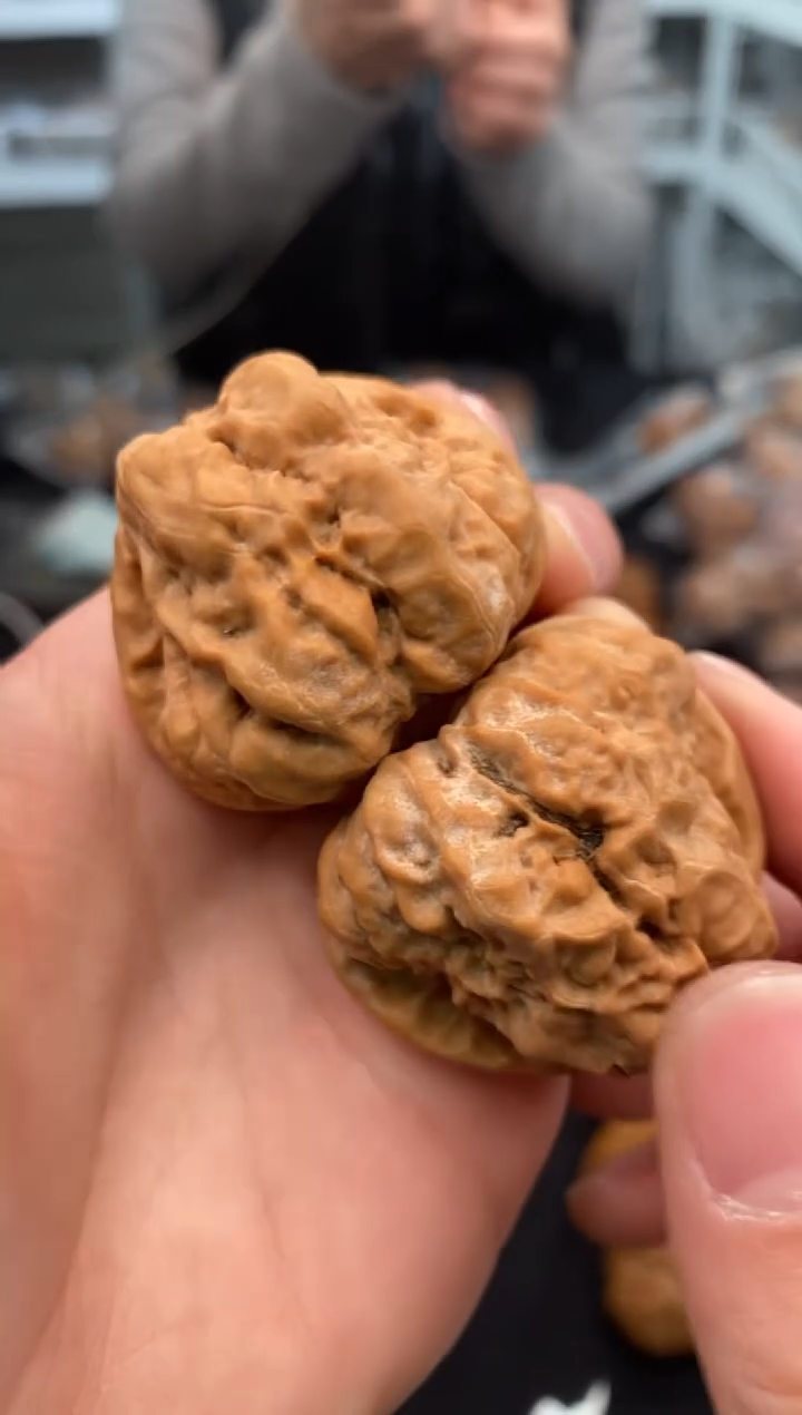 【闪购商品】文玩核桃把件延庆蛙40-u184