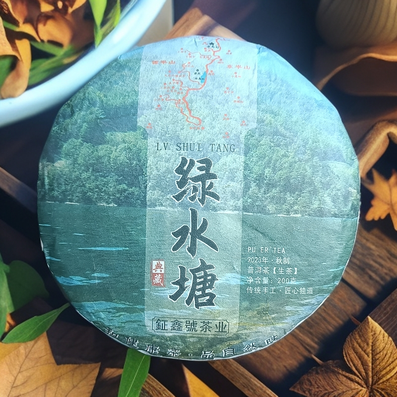  绿水塘/2023年秋中大树/200克/1饼（到手200克/1饼）