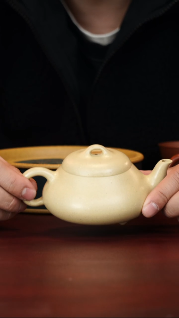 茶壶紫砂金国东--手工--石瓢