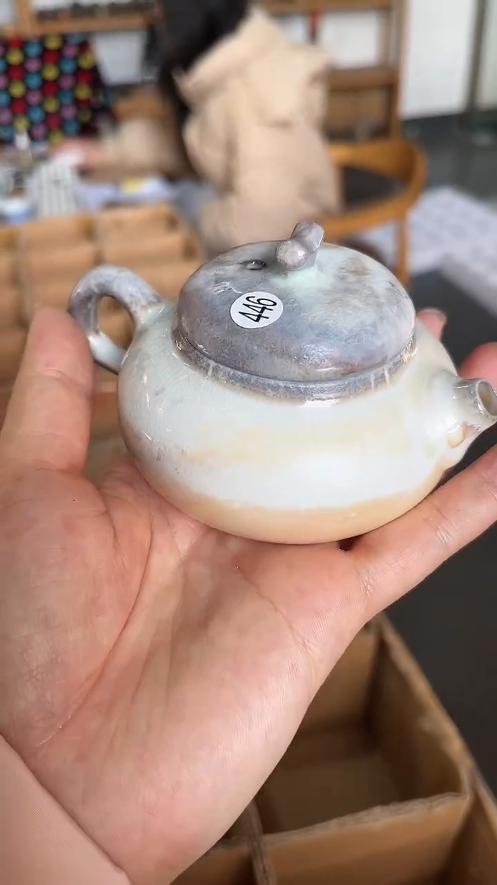 【闪购商品】壶446号容量100-110ML