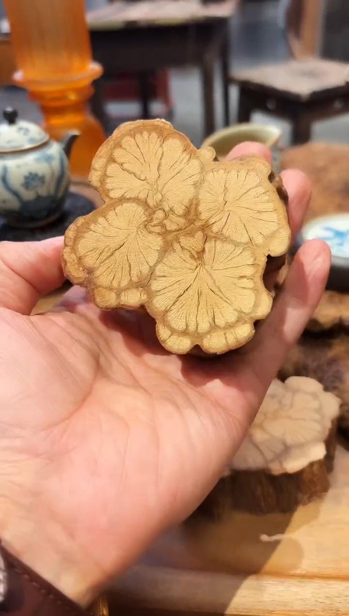 【闪购商品】茶道配件茶道配件2.8