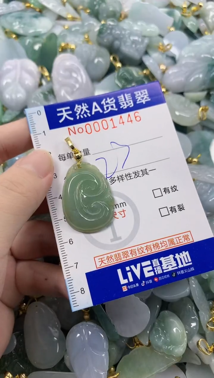 颈饰未镶嵌翡翠天然A货翡翠