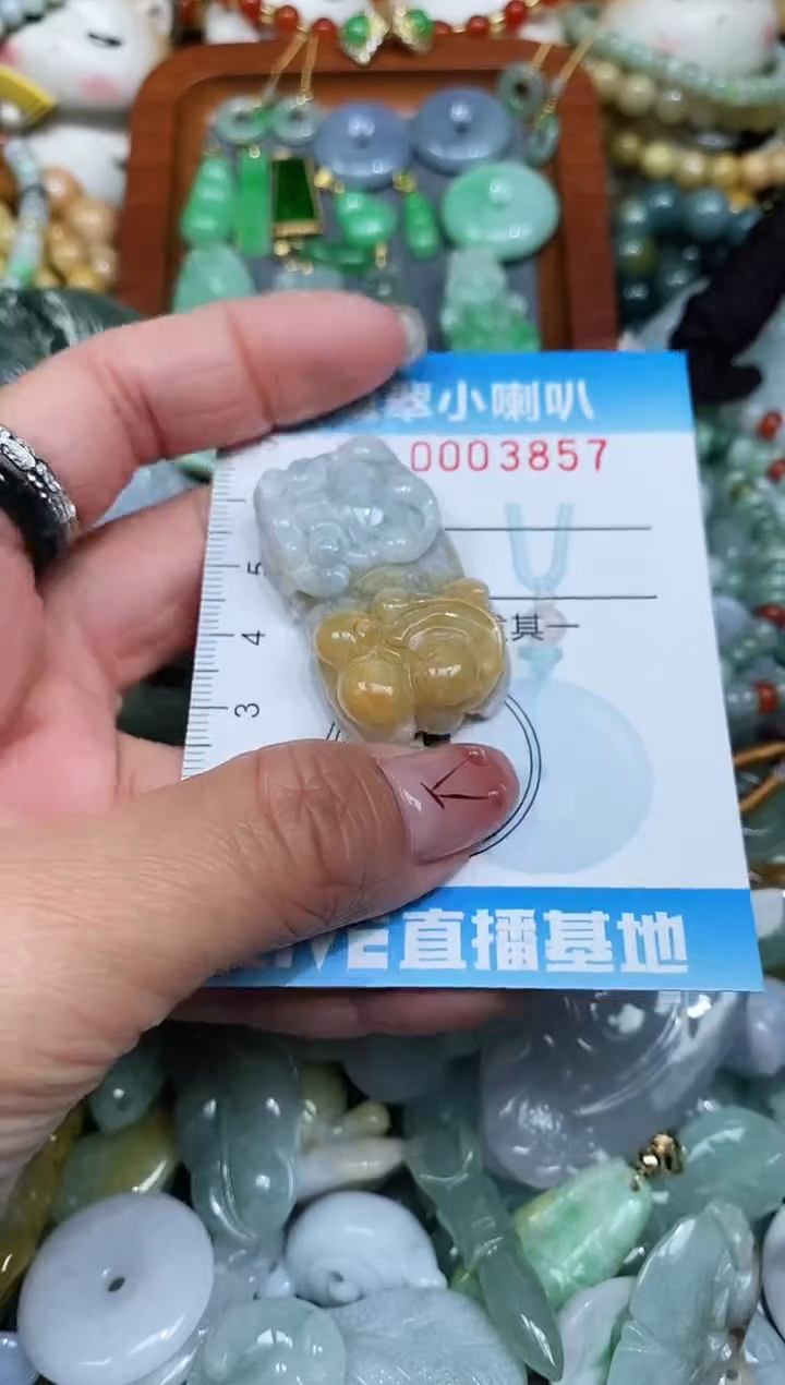 【闪购商品】翡翠颈饰未镶嵌闪购0003857