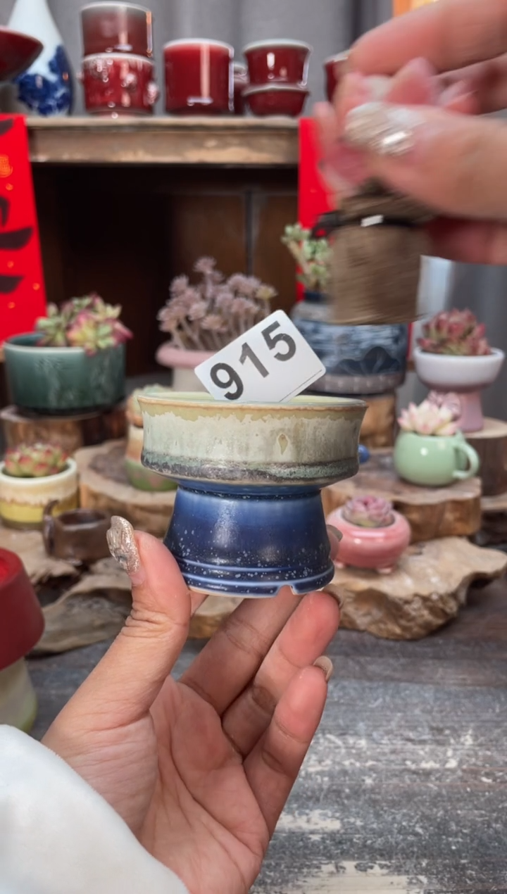 【闪购商品】摆件915知木小芳花盆